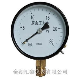 探析膜盒壓力表市場(chǎng)價(jià)格與選購(gòu)指南