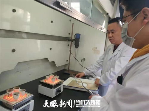 貴州綠茶科研突破 納米技術(shù)榮登國家重要成果名錄